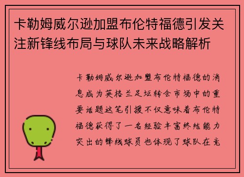 卡勒姆威尔逊加盟布伦特福德引发关注新锋线布局与球队未来战略解析