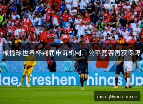 橄榄球世界杯判罚申诉机制，公平竞赛再获保障